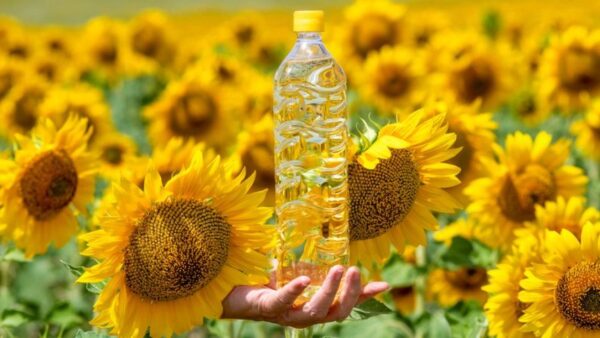 Sunflower oil