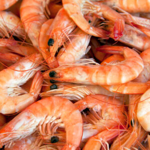 Wholesale Shrimp