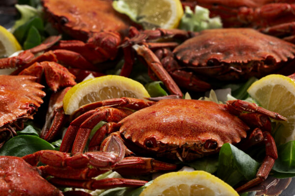 Crabs wholesale