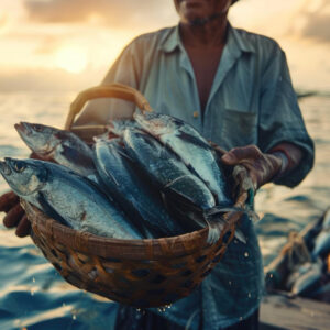 Wholesale Tuna