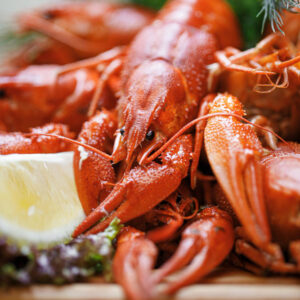 Vente en gros de Homards