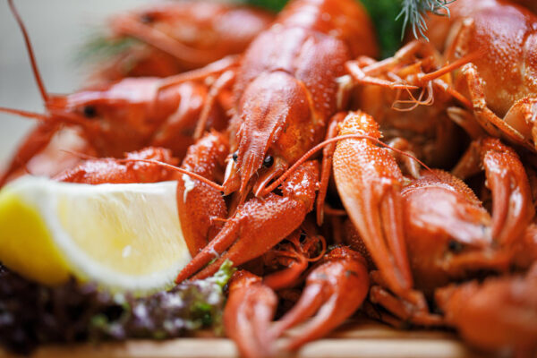 Vente en gros de Homards