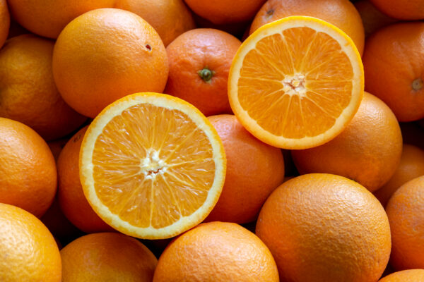 Vente en gros des oranges