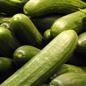 Wholesale Cucumbers