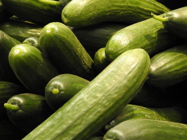 Wholesale Cucumbers