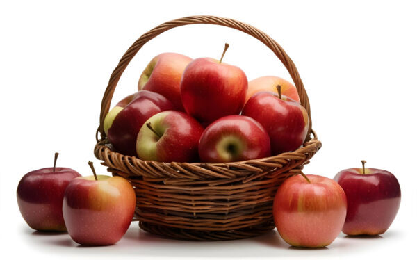 Wholesale of apples