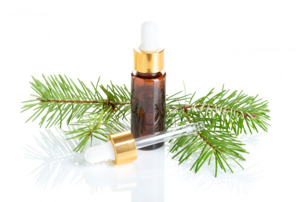 Pine Essential Oil