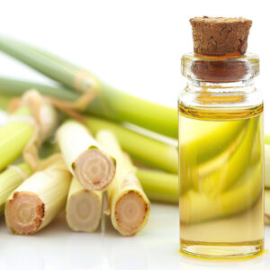 Fennel Essential Oil