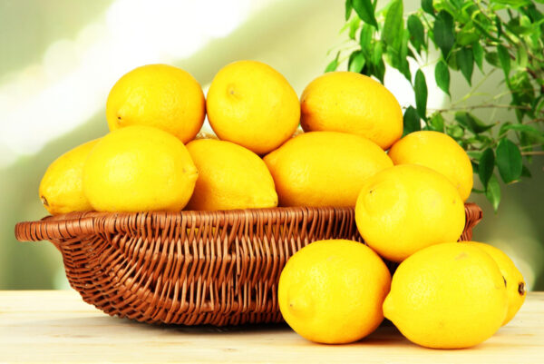 Wholesale of lemons