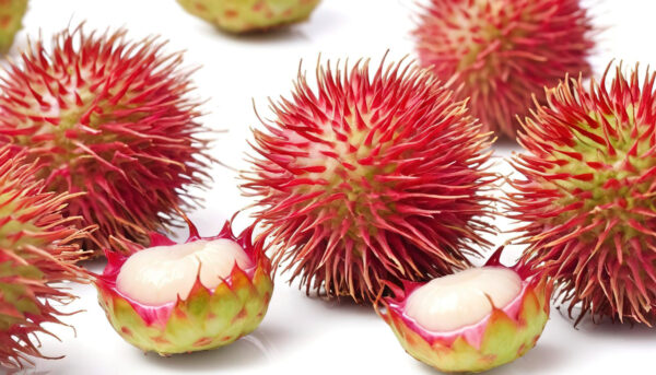 Rambutan Wholesale at Verodavgroup