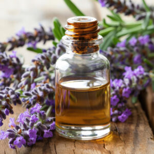 Organic Lavender Essential Oil