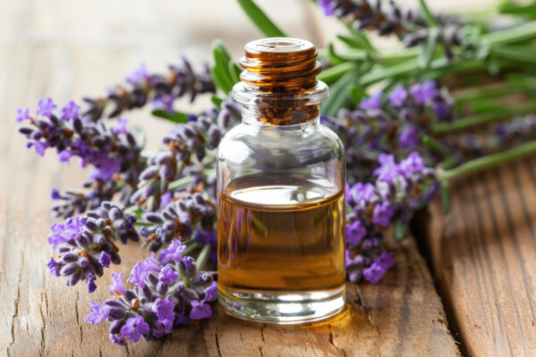 Organic Lavender Essential Oil