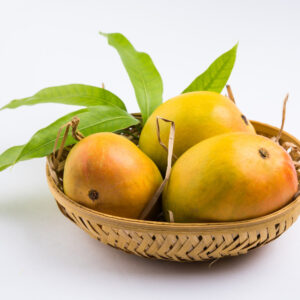 Wholesale Mangoes