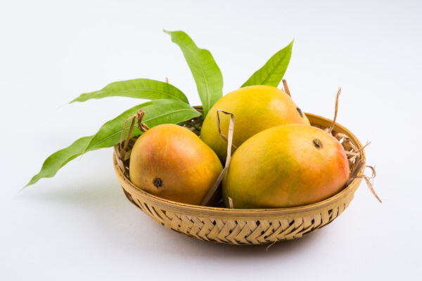 Wholesale Mangoes