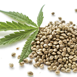 Wholesale hemp seeds