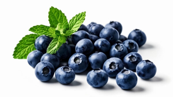 Wholesale Blueberries