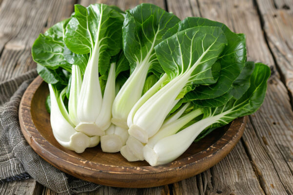 Vente en gros du Bok choy