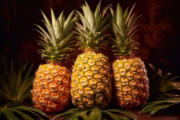 Discover our pineapple wholesale service at Verodavgroup.