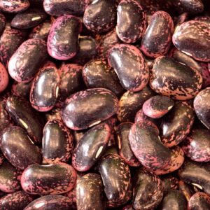 wholesale speckled round beans