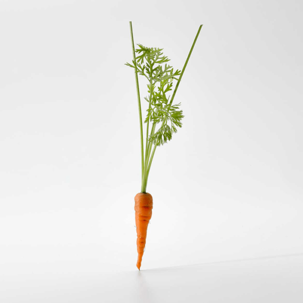 Micro Carrot Orange