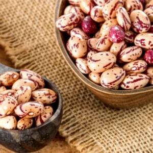 Wholesale Pinto Beans