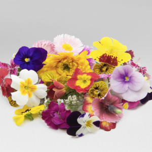 Edible mezclum flowers