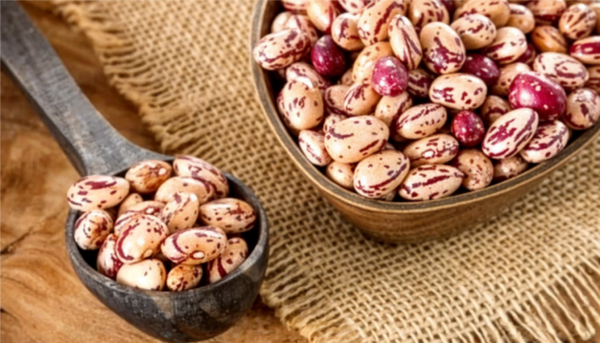 Wholesale Pinto Beans