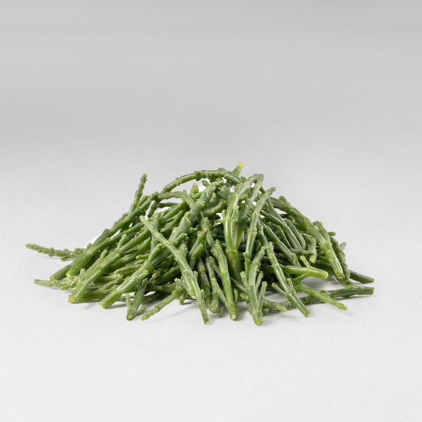 Fresh samphire