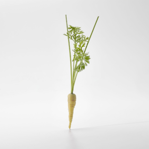 Micro White Carrot