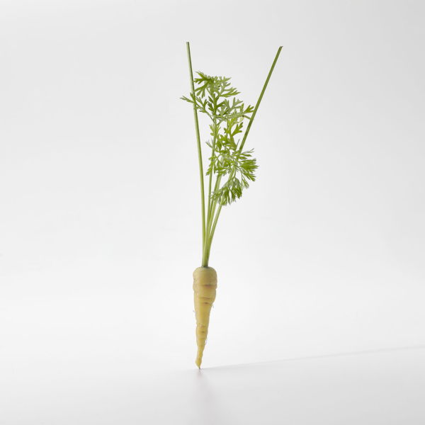 Micro White Carrot